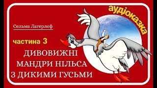 3Дивовижні мандриНільса з дикими гусьми Сельма Лагерлеф  Аудіокнига для дітей Українською [upl. by Sobel257]