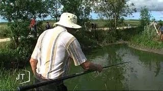 Gros succès pour la pêche à lécrevisse Triaize [upl. by Malas]