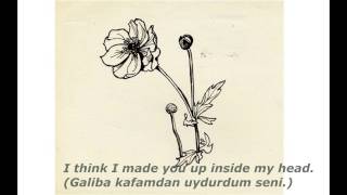 Sylvia Plath  Mad Girls Love Song Türkçe Çeviri [upl. by Anak]