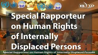 Press Conference with the Special Rapporteur [upl. by Kendricks]