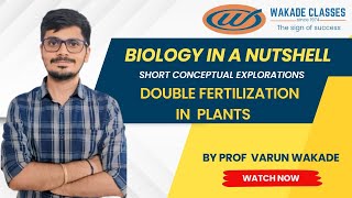 Double Fertilization in plants [upl. by Assylla]