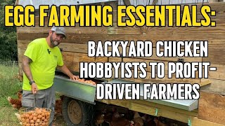 Egg Farming Essentials Backyard Chicken Hobbyists To ProfitDriven Farmers [upl. by Nyrhtakyram]