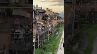 Kamogawa River between Gion and Pontocho from Shijo Bridge kyoto 🇯🇵 beautiful relaxing [upl. by Neille]