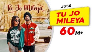 TU JO MILEYA DJ SONG REMIX 🥰🥰 [upl. by Ociram]