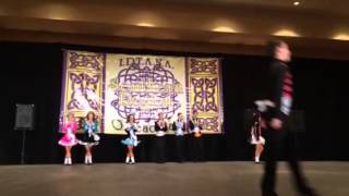 2014 Southern Region Oireachtas Parade of Champions  Sunday 127 [upl. by Ailisab805]