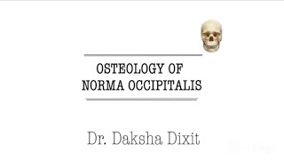 OSTEOLOGY OF NORMA OCCIPITALIS [upl. by Eisseb]