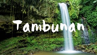 TAMBUNAN RAFFLESIA CENTRE BUTTERFLY PARK amp MAHUA WATERFALL [upl. by Danialah]