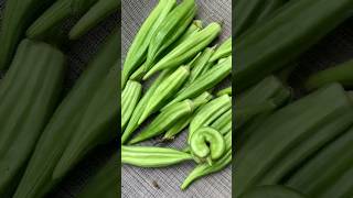 Okra harvest 🌱 okra okrarecipes growyourownfood vegetablegarden shorts gardenharvest garden [upl. by Anaet]