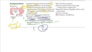 Hirschsprung Disease  USMLE STEP 1 [upl. by Namreg]