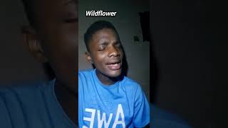 Trying the wildflower trend acoustic cover coversong singing wildflower billieeilish music [upl. by Tosch803]