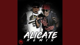 Alicate [upl. by Fortunato]