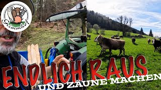 FarmVLOG278  1 Weide für glückliche Kühe [upl. by Rehsu]