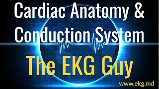 Cardiac Anatomy amp Conduction System  EKG Crash Course  The EKG Guy  wwwekgmd [upl. by Nauhs336]