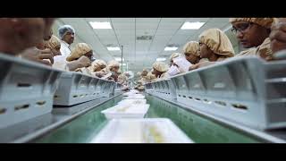 Gland Pharma Full Film [upl. by Augy149]