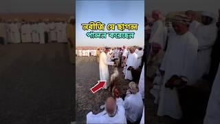 আমাদের নবীজি যে ছাগল নিজে পালন করেছেন।🐐😯 ছাগলের ছাগলেরখামার নবীজী ইসলাম [upl. by Gorton]