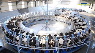 The Incredible Rotary Milking Parlour from Dairymaster [upl. by Asilehc]