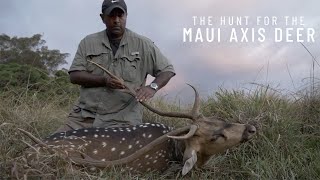 The Hunt for the Maui Axis Deer [upl. by Ikkin]