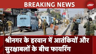 JampK News LIVE Srinagar के हरवान में Encounter दो से तीन आतंकी छिपे होने की आशंका  BREAKING NEWS [upl. by Anauqal]