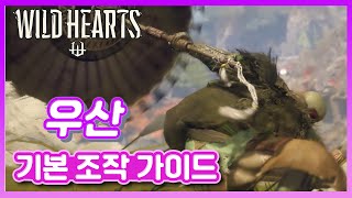 극한의 페링 와일드하츠 우산 기본 조작 및 콤보 가이드 와일드하츠Wild Hearts [upl. by Larkin813]