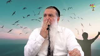 Rabbi Yigal Cohen  When Rabbi Yigal Cohen failed a test [upl. by Huber]