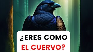 🫡La Historia del CUERVO  Cuento de AUTOESTIMA y SUPERACIÓN [upl. by Lindemann388]