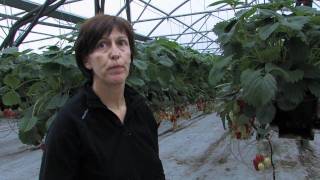 Corinne et Jean Marc Pra producteurs de fraises Rougeline [upl. by Schurman]