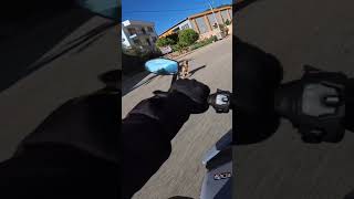 Köpek savar aragaz 😂 gsxs1000 shorts shortvideo sokakhayvanları aragaz [upl. by Ohce]