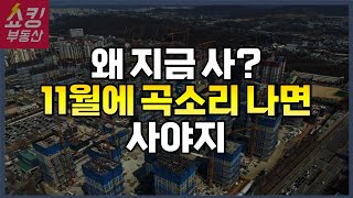 11월 올림픽파크포레온 역전세난이 기회다 VS 아니다 지금이다 [upl. by Eelime]