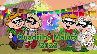 Quadrilha Maluca Tik Tok 2022 Passo à passo [upl. by Amery]