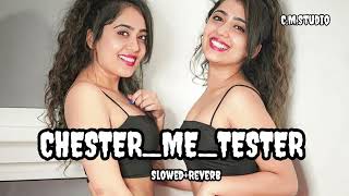 Chester Mein Tester Satake slowed amp reverb Bhojpuri Lofi Song [upl. by Johanna]