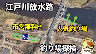 「江戸川放水路・上流ポイント」釣り場探検｜市営無料駐車場と人気ハゼ釣り場を紹介します [upl. by Ojahtnamas]