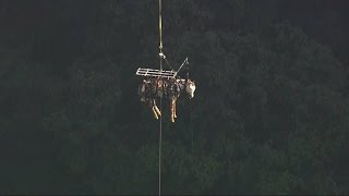 Terrified Horse Gets Airlifted to Safety After Falling Down 150 Foot Ravine [upl. by Kreit177]