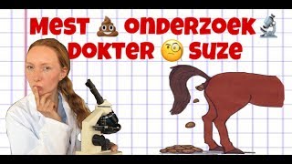 tutorial mest onderzoek paarden [upl. by Gudrun465]