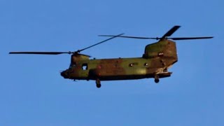 Royal Canadian Air Force  CH147F Chinook Helicopter  Flys Over BMO Field In Toronto ON [upl. by Akenor]