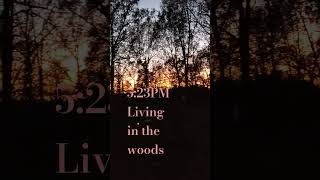 523PMTwilightLiving in the woods quotPhilAm Country Livingquot [upl. by Marston683]