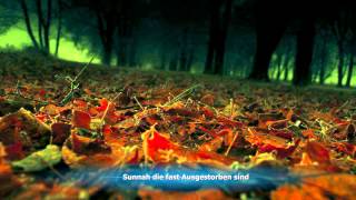 Sunnah die fast Ausgestorben sind Sheikh Abdellatif [upl. by Dinerman]