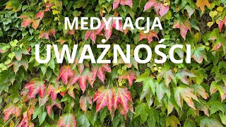 Medytacja Uważności [upl. by Itin]