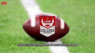 Southern Ill vs Indiana St Live Stream  NCAA College Football 2024 [upl. by Dralliw639]