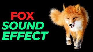 fox sound effect no copyright  fox noises  Red fox sounds  HQ fox sound effect [upl. by Dewie850]