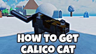 How to Get Calico Cat in Find the Cats Roblox  Calico cat [upl. by Godard]