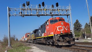 IC DASH9 LEADER CN Z148  IC 2704E at Norval  May 4 2024 [upl. by Egbert]