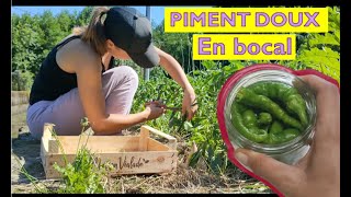 PIMENTS DOUX conservation BOCAUX [upl. by Valoniah]