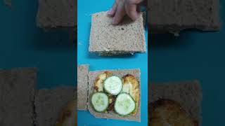 Halloumi Cheese Sandwich  Pakistani vlogger in oman  kids lunchbox recipe [upl. by Kernan647]