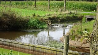 1370 SwartbroekWeert Limburg NL 62 km [upl. by Ailisec]