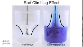 Key Rheological Phenomenon RodClimbing [upl. by Sharpe]