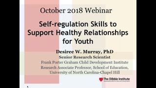 Self regulation Skills to Support Healthy Relationships for Youth [upl. by Mariann497]