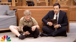 Robert Irwin and Jimmy Play with Baby Black Bears [upl. by Schechter]