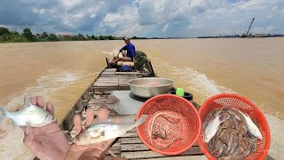 River life on Mekong Deltas  Catch many species of fish in the river [upl. by Allmon418]