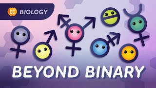 Gender Sex amp Sexuality What’s the Difference Crash Course Biology 48 [upl. by Linus268]