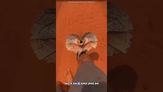 Frilled neck lizard facts fact10india science sciencefacts [upl. by Bowerman944]